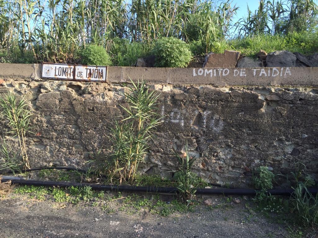 Country House Lomito De Taidia Guest House Risco Blanco Exterior photo